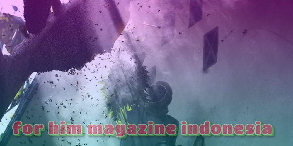 Melihat Penen Madu Hutan di Aceh